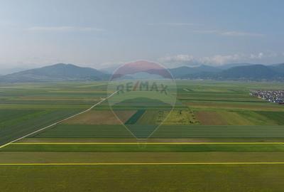 Teren 42,000mp Tarlungeni / Strada Izvor - 5