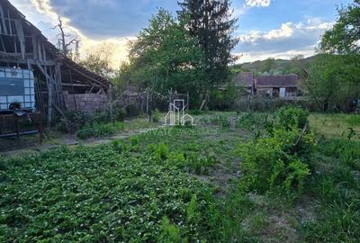 Casă cu 2 camere cu Teren 85 Mp în Dârjiu - 10