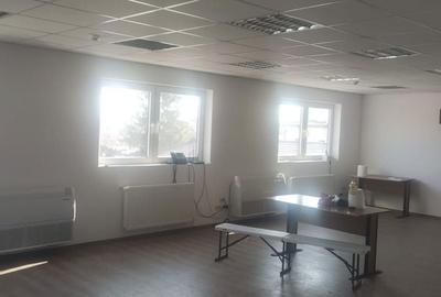 Spațiu comercial, de 1,000 mp, în Crevedia - 6