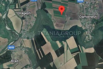 Teren extravilan agricol 1 ha de vanzare- Damiene?ti, Bacau - 3
