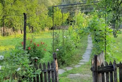 Casa de vanzare sat Carbune?ti, jud. Prahova - 2