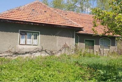 Casă cu 3 camere cu Teren 20000 Mp în Central - 5