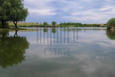 Oaza de relaxa de pe malul lacului Snagov. - 3