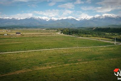 Teren Construcții intravilan de 5300 mp, în Avrig - 1