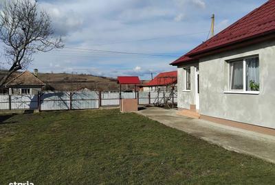 Casă cu 2 camere cu Teren 2800 Mp în Cămărașu - 3