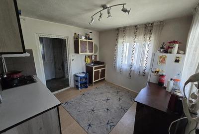 Casă cu Teren 4600 Mp în Tetoiu - 9