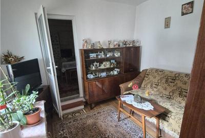 Oportunitate investitie, 4 apartamente la casa, Noua - 4