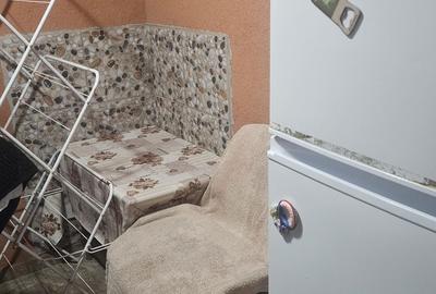 Casă cu 2 camere în Peciu Nou - 7