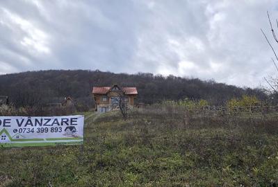 Casă cu 4 camere în Moldovenești - 8