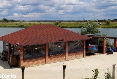 Teren de 63700 mp, în Borș - 15