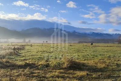 Teren de 900 mp, în Porumbacu de Jos