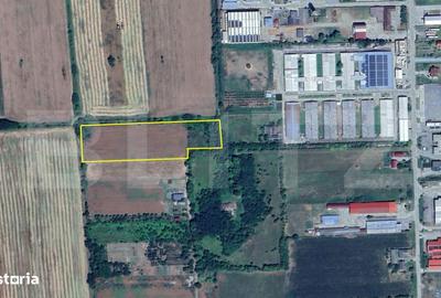 Teren de 5000 mp, în Careiului