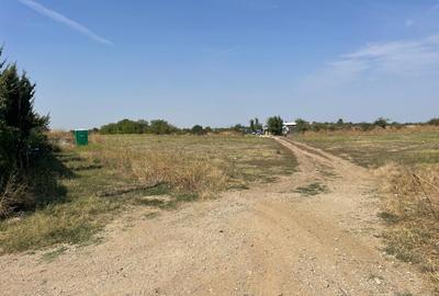 Teren Construcții intravilan de 3250 mp, în Otopeni - 3
