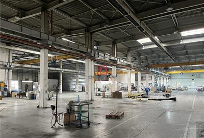 Depozit/hala/spatiu industrial Militari - Timisoara - 13