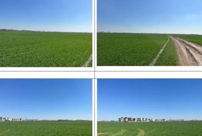 Teren de 5000 mp, în Central - 4