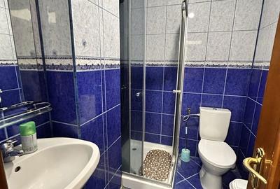 Garsonieră în Paltin - 5