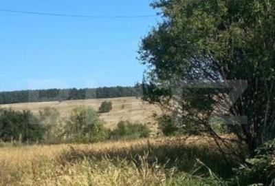 Teren intravilan 9200mp, front 23 metri ,Barsesti, Gorj - 1