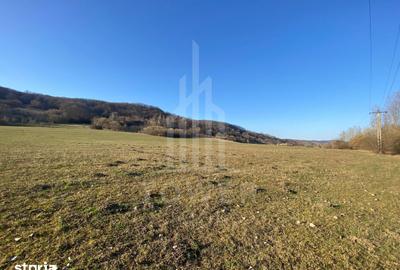 Teren de 7500 mp, în Șelimbăr - 8