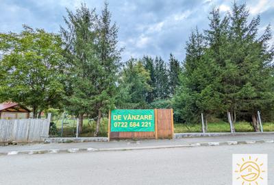 Teren pentru casa cu utilitati pe teren - 2