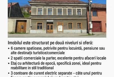 Casa istorica de vanzare-Oravi?a zona ultracentrala - 6