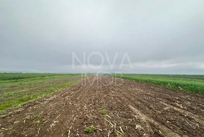 Teren extravilan de vanzare - Gura Raului - 2