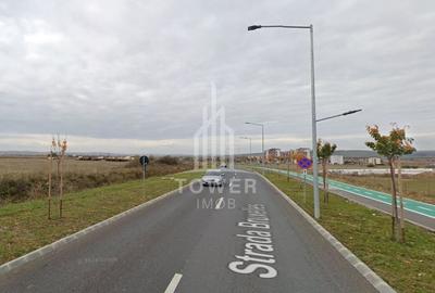 Teren industrial 9000 mp zona Industriala Vest - 1