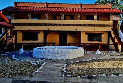 VILA MAGURELE P+1 STRADAL Chiar in Centru IDEALA Afaceri sau Locuinta 2 Garaje 2 Curti-500mp - 6