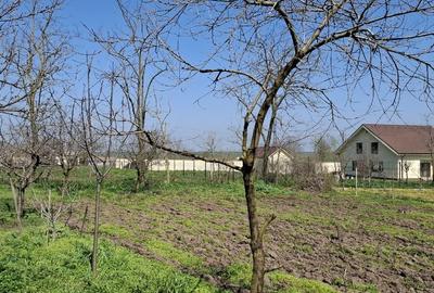 Casă individuală cu 5 camere cu Teren 1600 Mp în Ciocârlia - 6