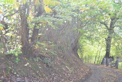 Teren de 2390 mp, în Schei - 3