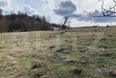 Teren extravilan in suprafata de 7500 mp la poalele Mesesulu - 5