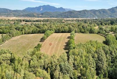 Teren intravilan, priveliste deosebita - 7