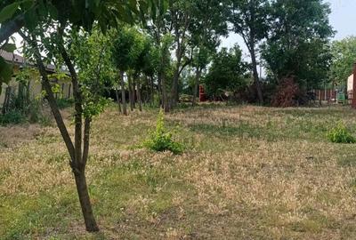 Casă cu 3 camere în Cioranca - 6