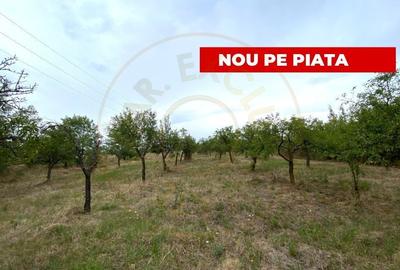 Teren intravilan 1.765 mp in Poiana Lacului, AG - 1