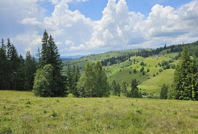 Teren de vanzare in Bucovina Comuna Breaza Zona Paraul Negrei - 1