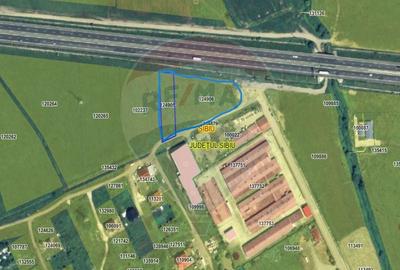 Teren Construcții intravilan de 6500 mp, în Veterani - 1