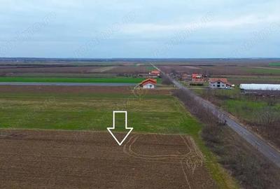 Teren de 4300 mp, în Medieșu Aurit - 4