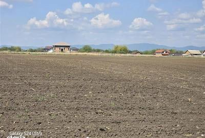 Oportunitate de investiție cu Exclusivitate! BOD, teren agricol! - 8