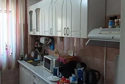 Apartament cu 2 camere semidecomandat în Gojdu - 8