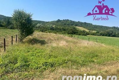 Teren intravilan Hidiselul de Sus - 8