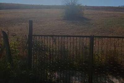 Husi Comuna Padureni - 8,5 hectare teren agricol - 5