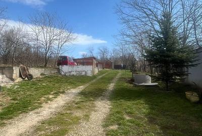 Casă cu 4 camere decomandat cu Teren 482 Mp în Oncea - 15