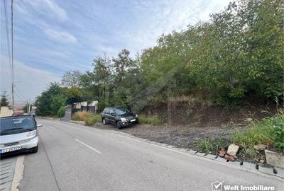 Oportunitate investitie, teren 5800 MP/32 ML, Dezmir Oportunitate investitie, teren 5800 MP/32 ML, Dezmir - 5