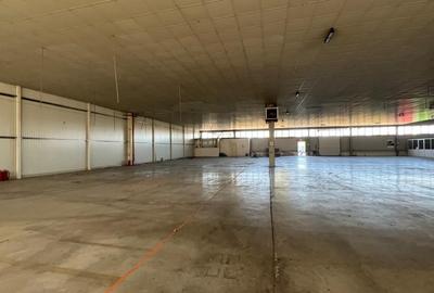 Hala 1400 pentru depozitare sau productie Hala 1400 pentru depozitare sau productie - 14