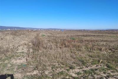 RECO Teren extravilan, Bors - 1