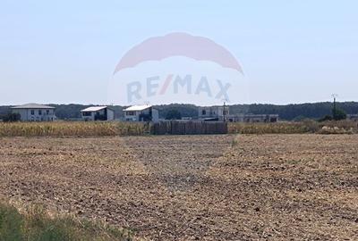 Teren 650mp Ghermanesti / Strada Milcov - 7