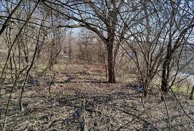 Casă cu 10 camere în Zgribești - 6