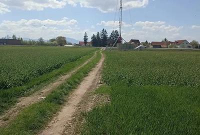 De vanzare teren extravilan lang drum DN11 - 2