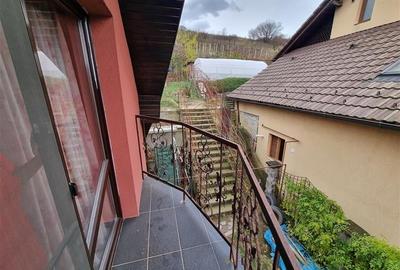 De vanzare casa cu 5 camere in Sancraiul de Mures - 10