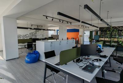 Birou, de 190 mp, în Craiter - 1