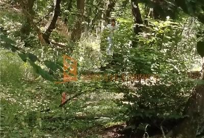 Teren de 1000 mp, în Merei - 7